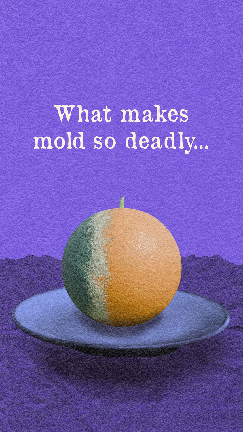 A collage illustration of a 3D rendered moldy orange on a plate